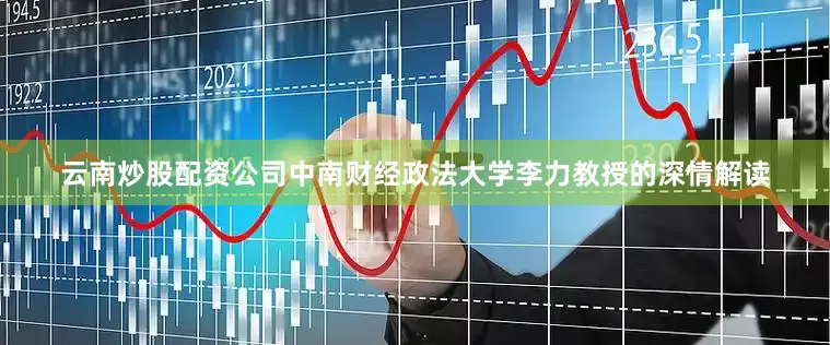 云南炒股配资公司中南财经政法大学李力教授的深情解读