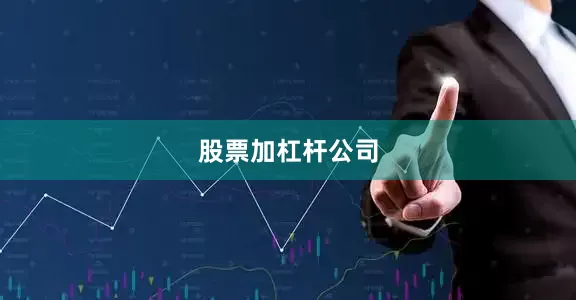 股票加杠杆公司