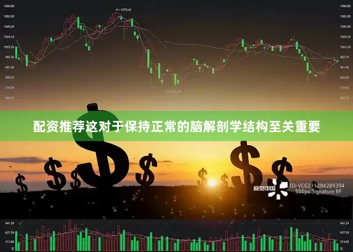 配资推荐这对于保持正常的脑解剖学结构至关重要